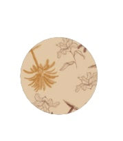 PIGIAMA DONNA VISCOSA APERTO LINEA ELOWEN MILK AND HONEY